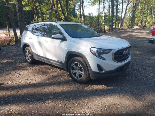 46082279 :رقم المزاد ، 3GKALTEV8LL311060 vin ، 2020 Gmc Terrain Awd Sle مزاد بيع