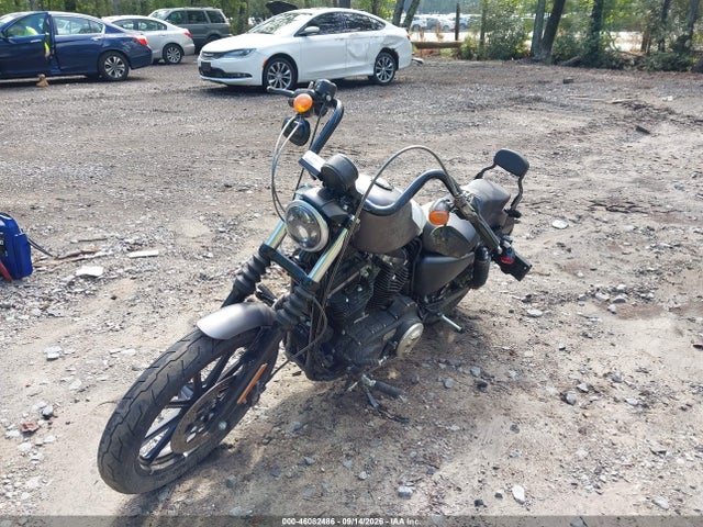 Продажа на аукционе авто 2017 Harley-davidson Xl883 Iron 883, vin: 1HD4LE215HC437707, номер лота: 46082486