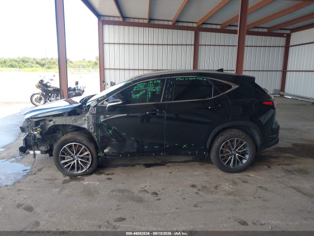 46082536 :رقم المزاد ، 2T2ADCAZ5SC022362 vin ، 2025 Lexus Nx 250 مزاد بيع
