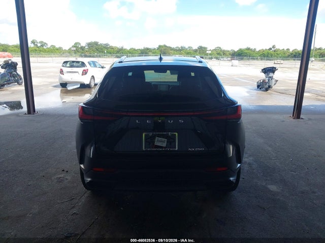 46082536 :رقم المزاد ، 2T2ADCAZ5SC022362 vin ، 2025 Lexus Nx 250 مزاد بيع