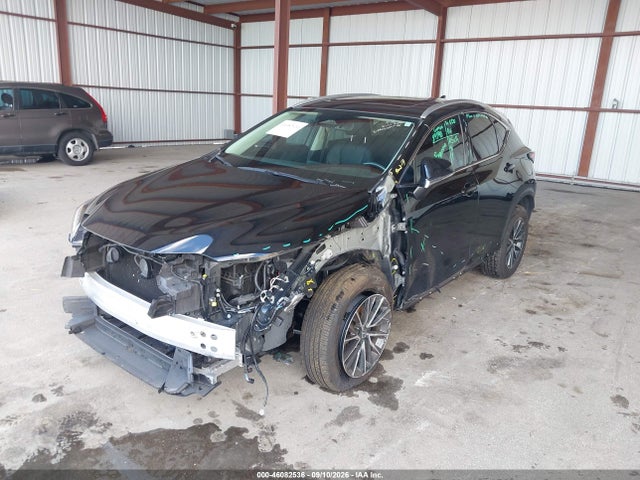 46082536 :رقم المزاد ، 2T2ADCAZ5SC022362 vin ، 2025 Lexus Nx 250 مزاد بيع