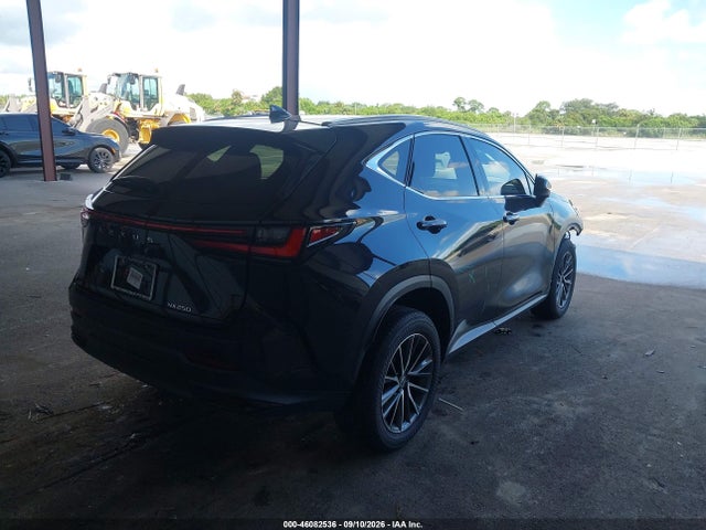46082536 :رقم المزاد ، 2T2ADCAZ5SC022362 vin ، 2025 Lexus Nx 250 مزاد بيع
