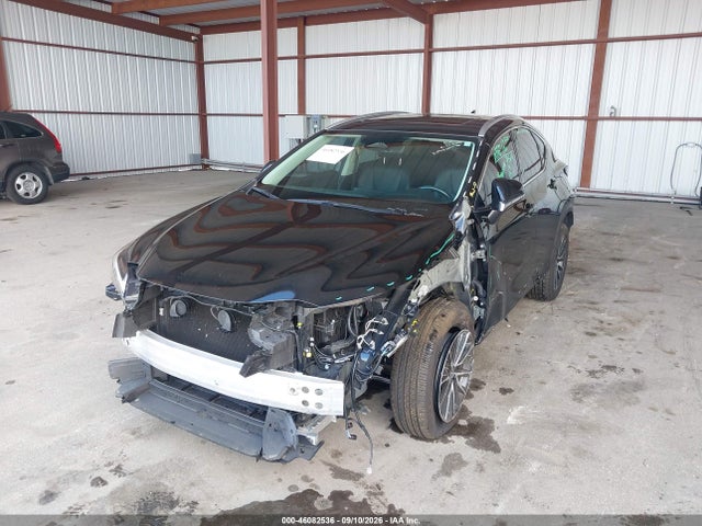 46082536 :رقم المزاد ، 2T2ADCAZ5SC022362 vin ، 2025 Lexus Nx 250 مزاد بيع