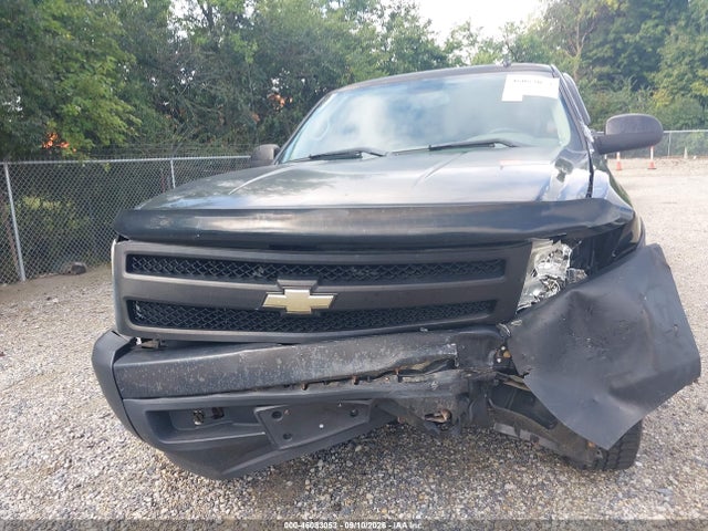 Продаж на аукціоні авто 2008 Chevrolet Silverado 1500 Work Truck, vin: 1GCEC14XX8Z138145, номер лоту: 46083053