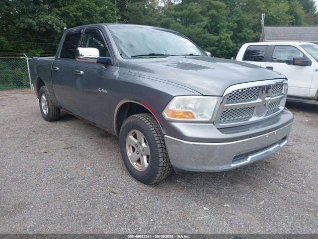Auction sale of the 2009 Dodge Ram 1500 Slt/sport/trx, vin: 1D3HV13P59S795767, lot number: 46083281
