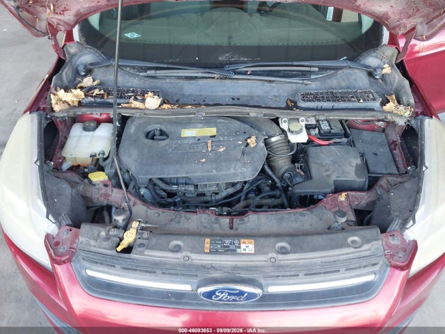 Ford ESCAPE SE 2014 1FMCU0GX0EUA93828 Image 10