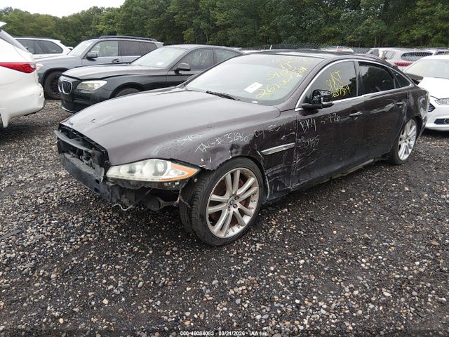 Продаж на аукціоні авто 2011 Jaguar Xj Xjl, vin: SAJWA2GB8BLV03854, номер лоту: 46084083