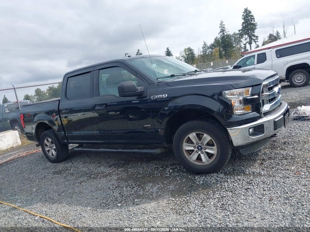 Ford F-150 Xlt 2016 1FTEW1EPXGFC31415 Image 13