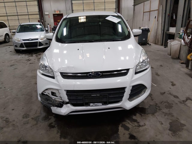 Ford ESCAPE SE 2014 1FMCU9GX4EUD72901 Image 12
