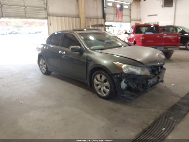 Auction sale of the 2008 Honda Accord 2.4 Ex-l, vin: 1HGCP26868A098881, lot number: 46085278