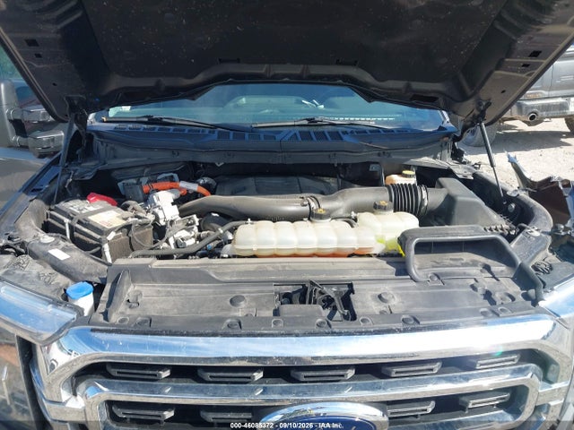 46085372 :رقم المزاد ، 1FTFW1ED7NFA09163 vin ، 2022 Ford F-150 Xlt مزاد بيع