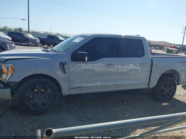 2023 Ford F-150 Xlt მანქანა იყიდება აუქციონზე, vin: 1FTFW1ED3PFD09852, აუქციონის ნომერი: 46085888