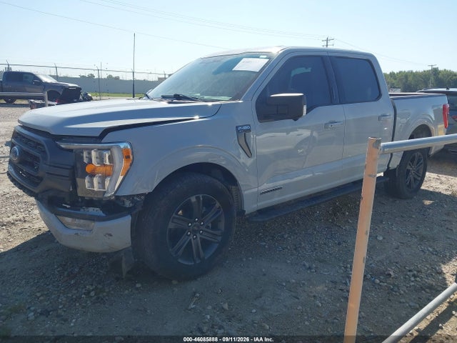 2023 Ford F-150 Xlt მანქანა იყიდება აუქციონზე, vin: 1FTFW1ED3PFD09852, აუქციონის ნომერი: 46085888