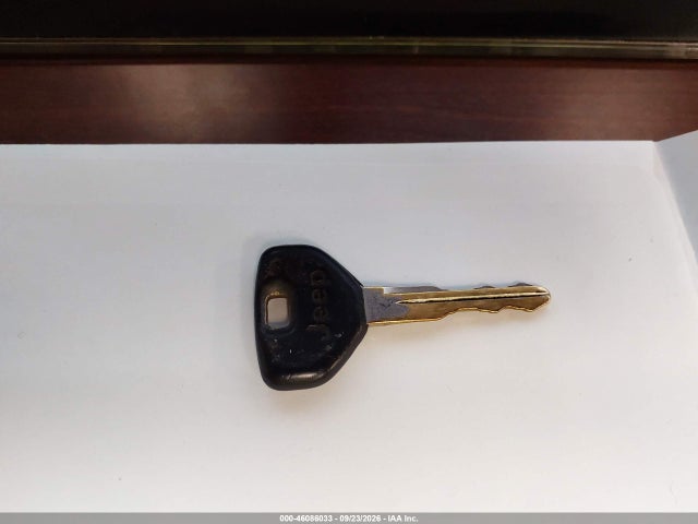 46086033 :رقم المزاد ، 1J4FY19P8SP282689 vin ، 1995 Jeep Wrangler / Yj S/rio Grande مزاد بيع