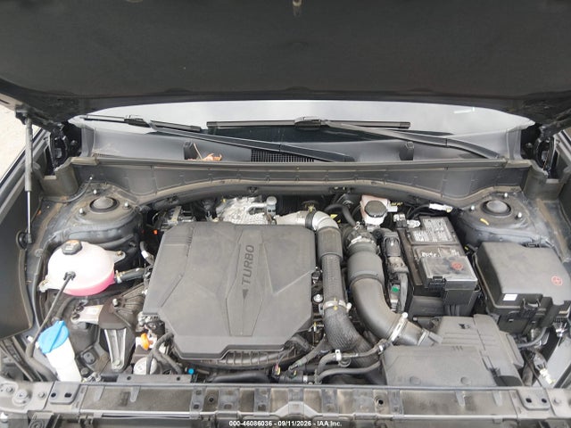 2025 Hyundai Santa Fe Calligraphy მანქანა იყიდება აუქციონზე, vin: 5NMP5DGL7SH087289, აუქციონის ნომერი: 46086036
