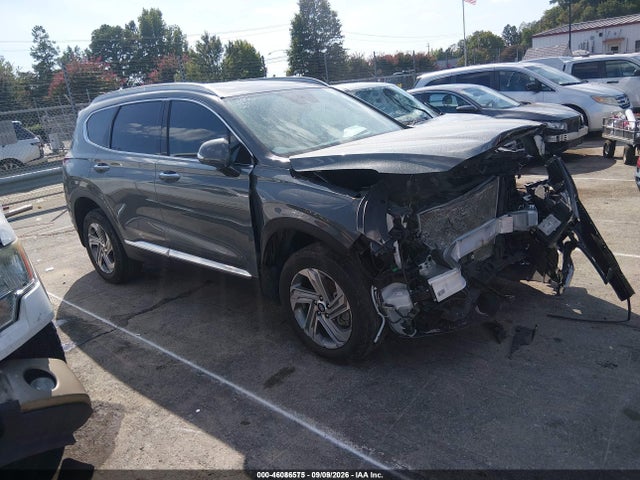 2023 Hyundai Santa Fe Sel მანქანა იყიდება აუქციონზე, vin: 5NMS3DAJ1PH552048, აუქციონის ნომერი: 46086575