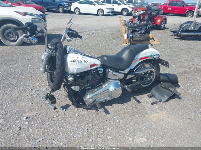Harley-Davidson Softail Custom 2026 1HD1BK91XTB037571 Image 2