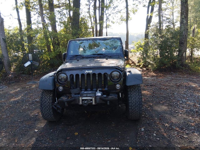 Продажа на аукционе авто 2015 Jeep Wrangler Unlimited Sport, vin: 1C4BJWDG4FL668956, номер лота: 46087333