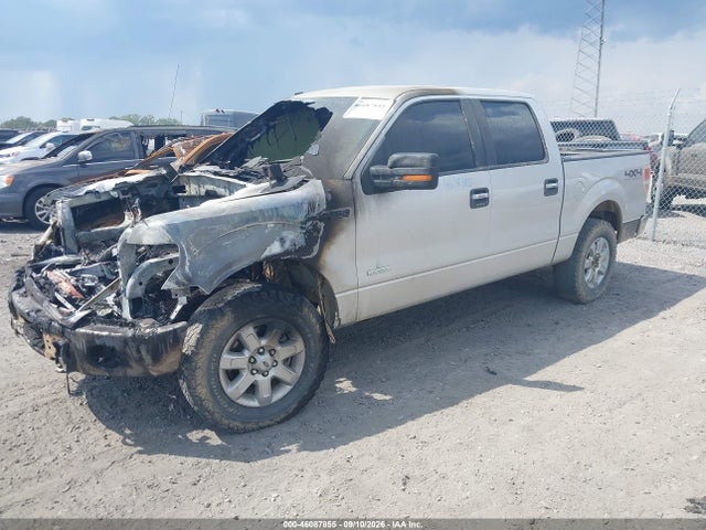 Продажа на аукционе авто 2014 Ford F-150 Xlt, vin: 1FTFW1ET0EKE68078, номер лота: 46087855
