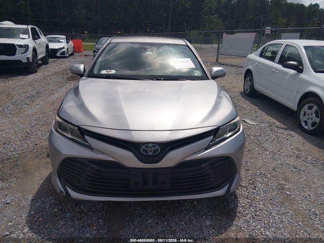 4T1B31HK0KU511730 Toyota Camry Hybrid Le