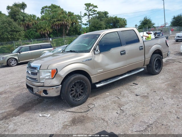 46088706 :رقم المزاد ، 1FTFW1CT6EFA75438 vin ، 2014 Ford F-150 Xlt مزاد بيع