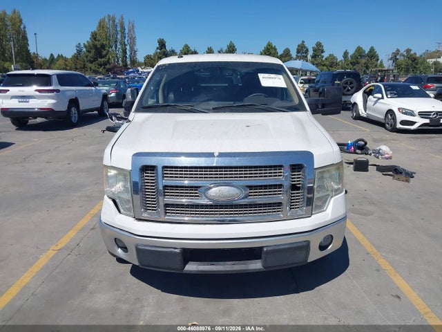 Продаж на аукціоні авто 2009 Ford F-150 Fx4/king Ranch/lariat/platinum/xl/xlt, vin: 1FTPW14VX9FA19819, номер лоту: 46088976