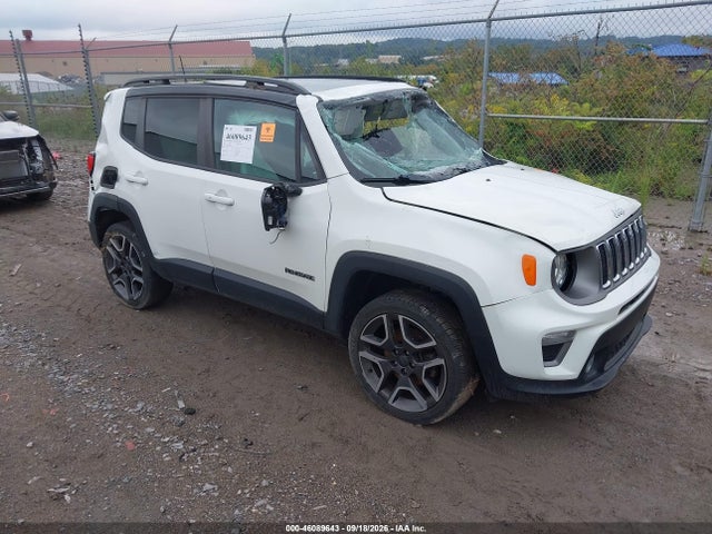 46089643 :رقم المزاد ، ZACNJBD1XKPJ91244 vin ، 2019 Jeep Renegade Limited 4x4 مزاد بيع