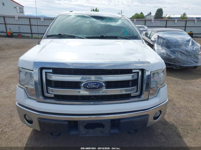 Ford F-150 Xlt 2014 1FTFX1EF5EFB19904 Image 12