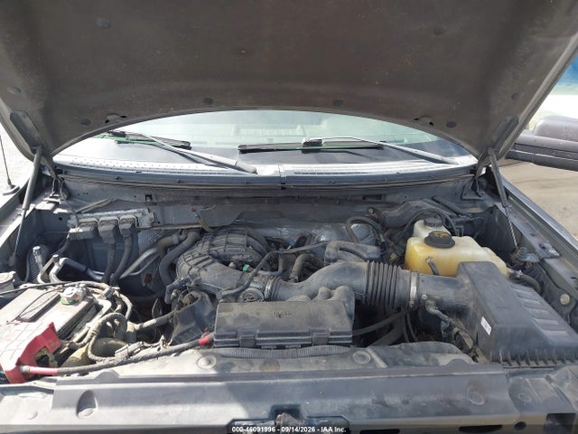 46091996 :رقم المزاد ، 1FTEX1EM6DFD97400 vin ، 2013 Ford F-150 Stx مزاد بيع