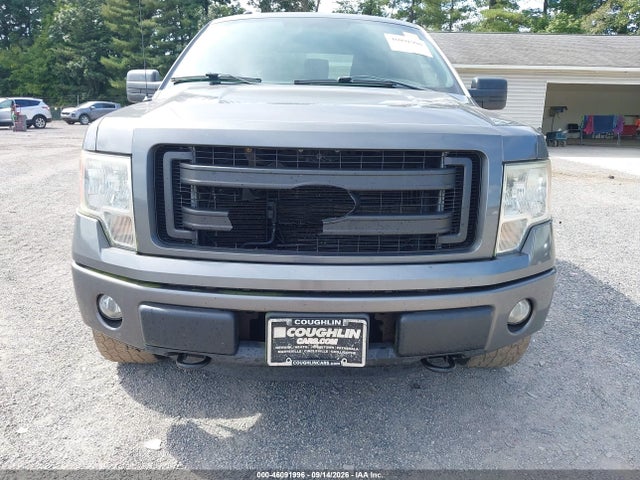 46091996 :رقم المزاد ، 1FTEX1EM6DFD97400 vin ، 2013 Ford F-150 Stx مزاد بيع
