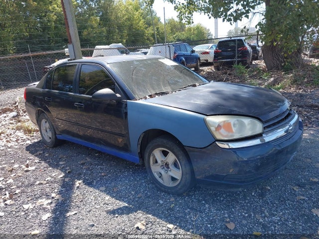 46092014 :رقم المزاد ، 1G1ZT54855F335103 vin ، 2005 Chevrolet Malibu Ls مزاد بيع