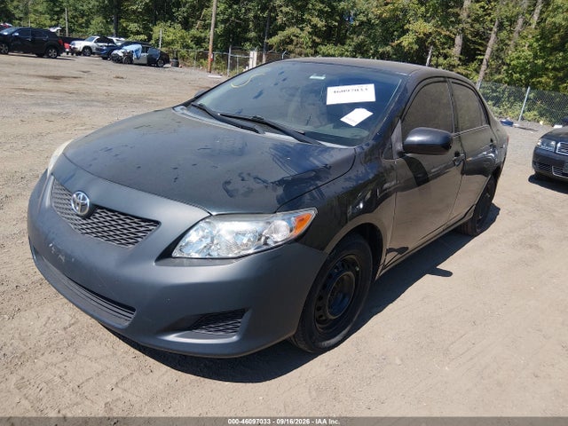 46097033 :رقم المزاد ، 2T1BU4EE0AC523390 vin ، 2010 Toyota Corolla Le مزاد بيع