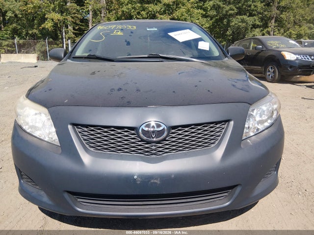 46097033 :رقم المزاد ، 2T1BU4EE0AC523390 vin ، 2010 Toyota Corolla Le مزاد بيع