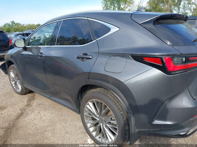 2026 Lexus Nx 350 Premium მანქანა იყიდება აუქციონზე, vin: 2T2GGCEZ3TC095775, აუქციონის ნომერი: 46097266