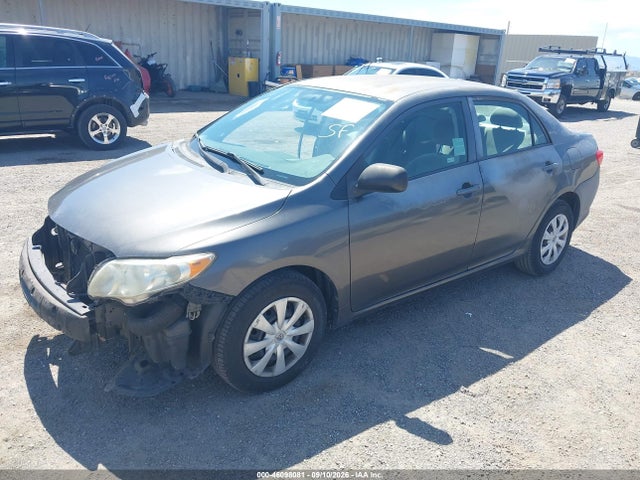 2010 Toyota Corolla Le მანქანა იყიდება აუქციონზე, vin: 2T1BU4EE2AC534424, აუქციონის ნომერი: 46098081