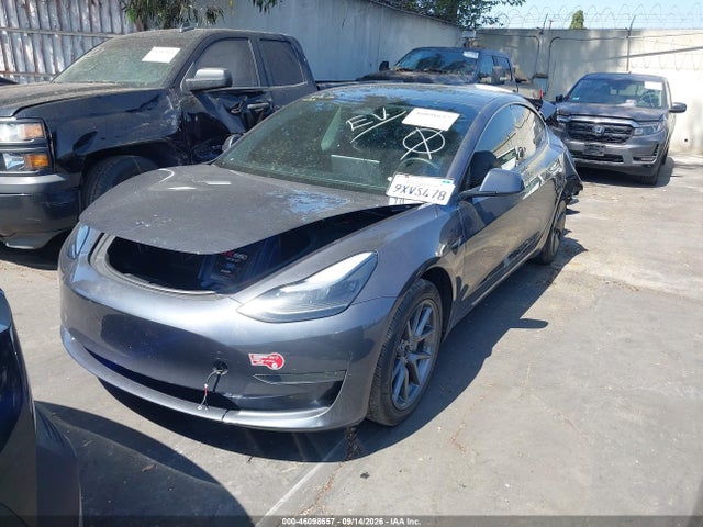 Продаж на аукціоні авто 2023 Tesla Model 3 Rear-wheel Drive, vin: 5YJ3E1EA7PF699953, номер лоту: 46098657