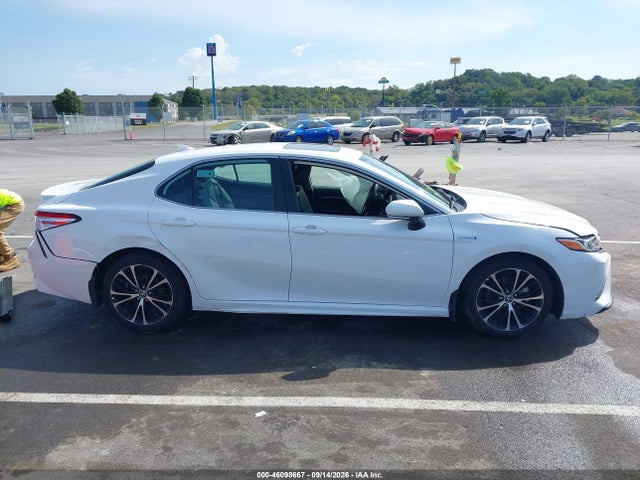 46098667 :رقم المزاد ، 4T1J31AK8LU534888 vin ، 2020 Toyota Camry Se Hybrid مزاد بيع
