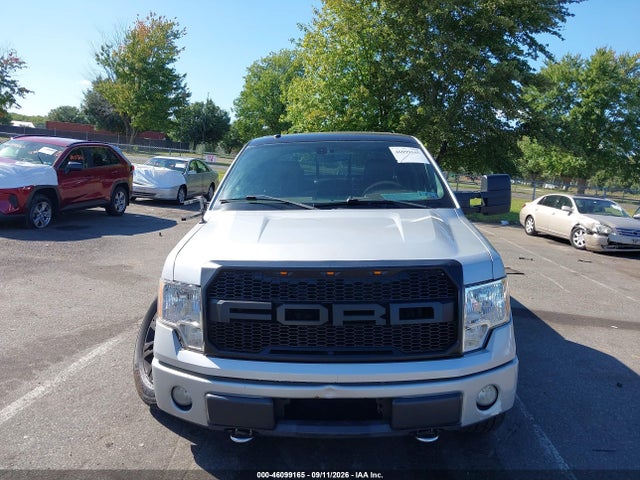 Продаж на аукціоні авто 2009 Ford F-150 Fx4/king Ranch/lariat/platinum/xl/xlt, vin: 1FTPW14V29FB32910, номер лоту: 46099165