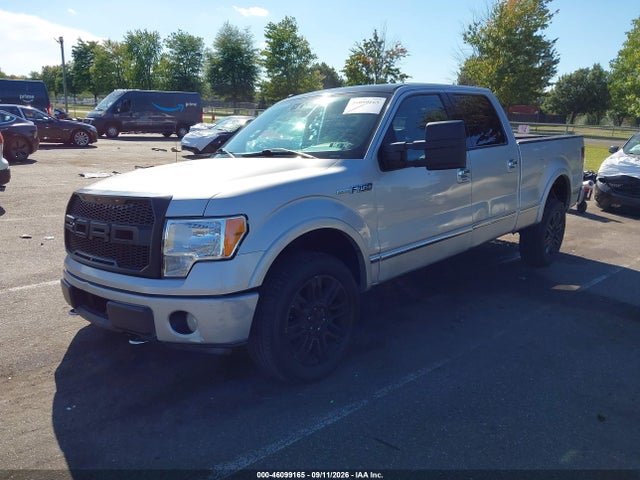 Продаж на аукціоні авто 2009 Ford F-150 Fx4/king Ranch/lariat/platinum/xl/xlt, vin: 1FTPW14V29FB32910, номер лоту: 46099165