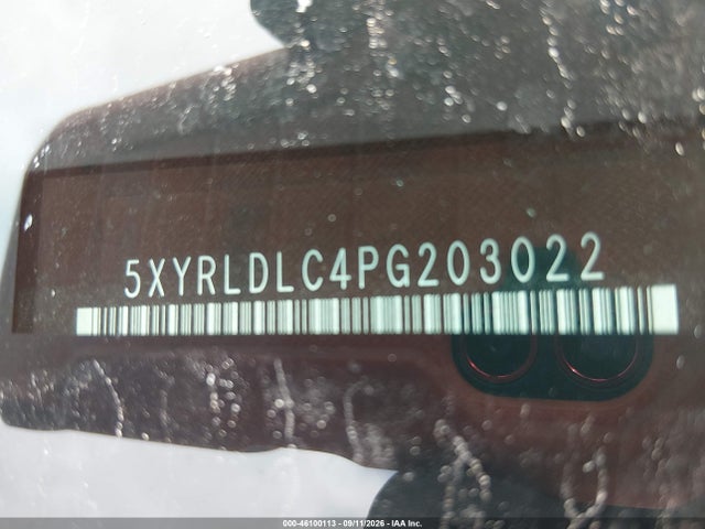 Aukcja sprzedaży 2023 Kia Sorento X-line S, vin: 5XYRLDLC4PG203022, numer aukcji: 46100113