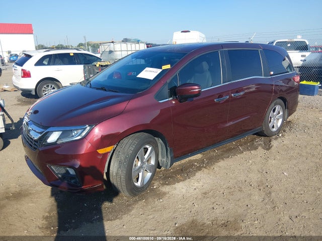46100510 :رقم المزاد ، 5FNRL6H7XKB127233 vin ، 2019 Honda Odyssey Ex-l مزاد بيع