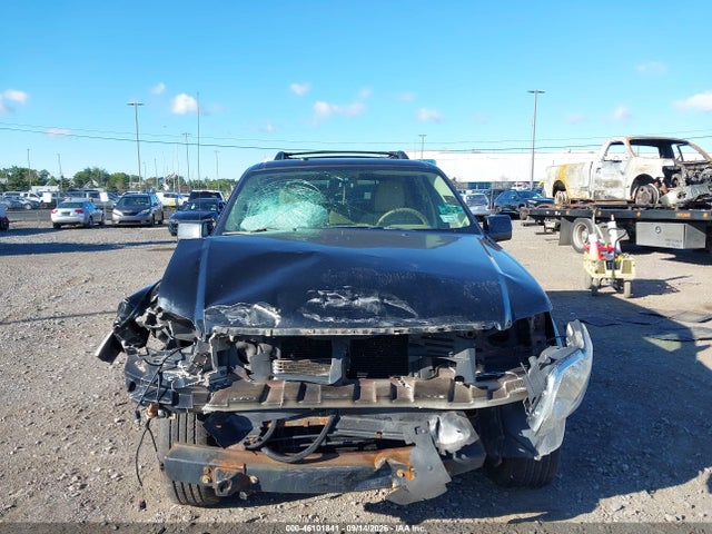 46101841 :رقم المزاد ، 1FMEU7EE0AUA91364 vin ، 2010 Ford Explorer Eddie Bauer مزاد بيع
