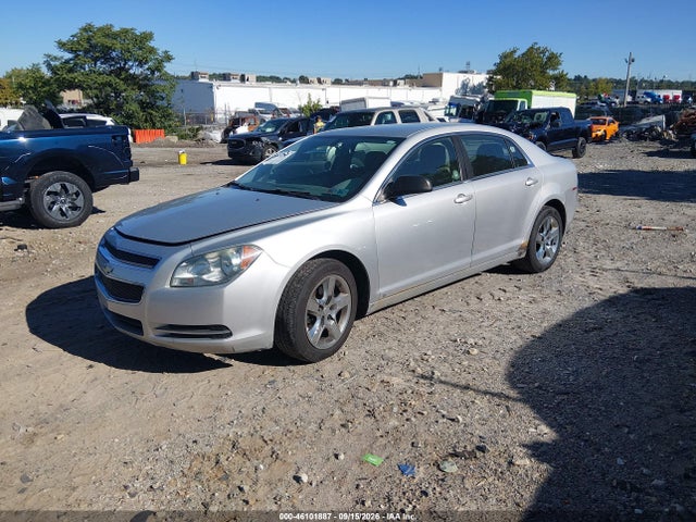 46101887 :رقم المزاد ، 1G1ZG57B59F238209 vin ، 2009 Chevrolet Malibu Ls مزاد بيع