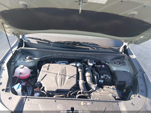 46102102 :رقم المزاد ، 5XYRKDJF7SG338312 vin ، 2025 Kia Sorento X-line Sx مزاد بيع