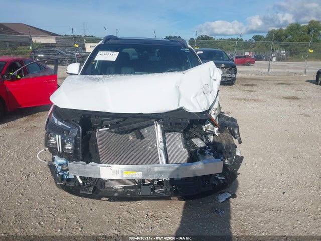 2023 Hyundai Santa Fe Calligraphy მანქანა იყიდება აუქციონზე, vin: 5NMS5DAL9PH619152, აუქციონის ნომერი: 46102117