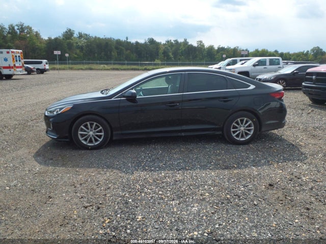 2018 Hyundai Sonata Eco მანქანა იყიდება აუქციონზე, vin: 5NPE24AA4JH691696, აუქციონის ნომერი: 46103857