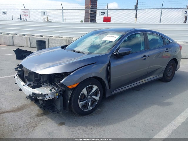 46104266 :رقم المزاد ، 2HGFC2F64LH503024 vin ، 2020 Honda Civic Lx مزاد بيع