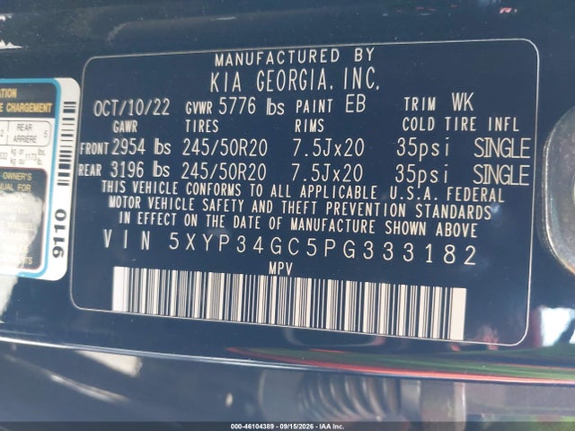2023 Kia Telluride Ex მანქანა იყიდება აუქციონზე, vin: 5XYP34GC5PG333182, აუქციონის ნომერი: 46104389