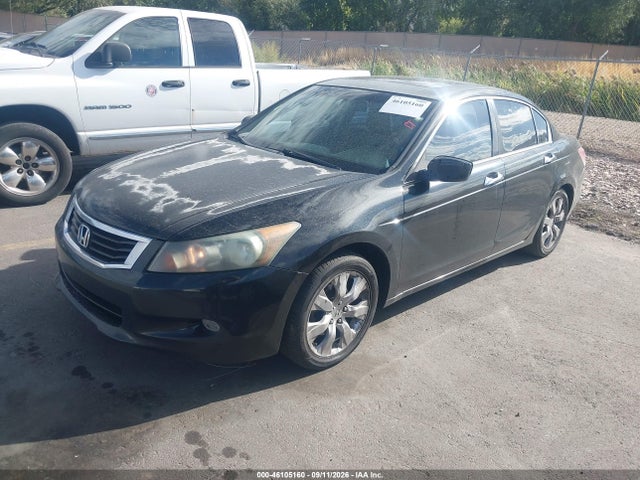 46105160 :رقم المزاد ، 1HGCP3F8XAA031521 vin ، 2010 Honda Accord 3.5 Ex-l مزاد بيع