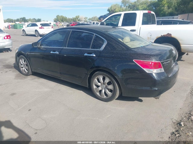 46105160 :رقم المزاد ، 1HGCP3F8XAA031521 vin ، 2010 Honda Accord 3.5 Ex-l مزاد بيع